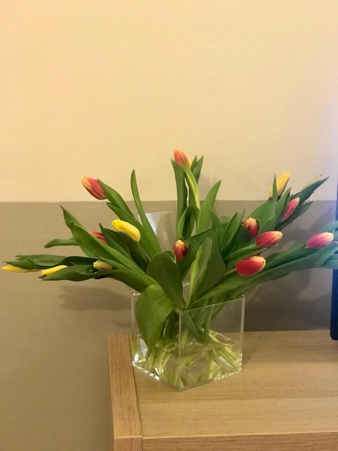Apartment Sonnino *